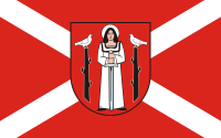Golub-Dobrzyń flaga