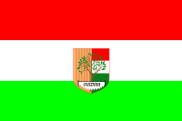 Olszyna flaga