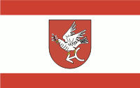 powiat golubsko-dobrzyński flaga