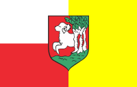 Bojanowo flaga
