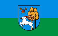 Ełk flaga