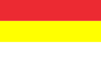 Gogolin flaga