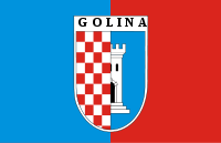 Golina flaga