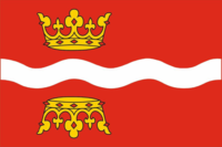 Gmina Golub-Dobrzyń flaga