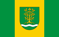 Gmina Grabów nad Pilicą flaga