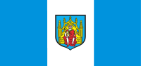 Grodzisk Wielkopolski flaga