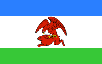 Kalisz Pomorski flaga