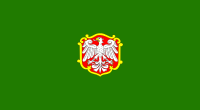 Koźmin Wielkopolski flaga