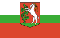 Lublin flaga