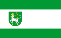 Lutomiersk flaga