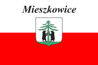 Mieszkowice flaga