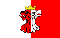 powiat aleksandrowski flaga