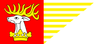 powiat lubelski flaga