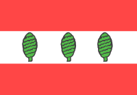powiat sztumski flaga