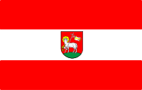 powiat wieluński flaga