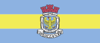 Gmina Pszczyna flaga