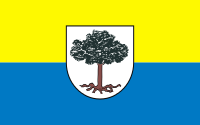 Gmina Sośnicowice flaga