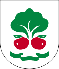 Gmina Belsk Duży herb