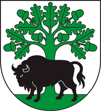 Gmina Hajnówka herb