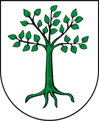 Gmina Kruszwica herb
