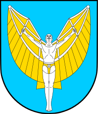 Gmina Radgoszcz herb
